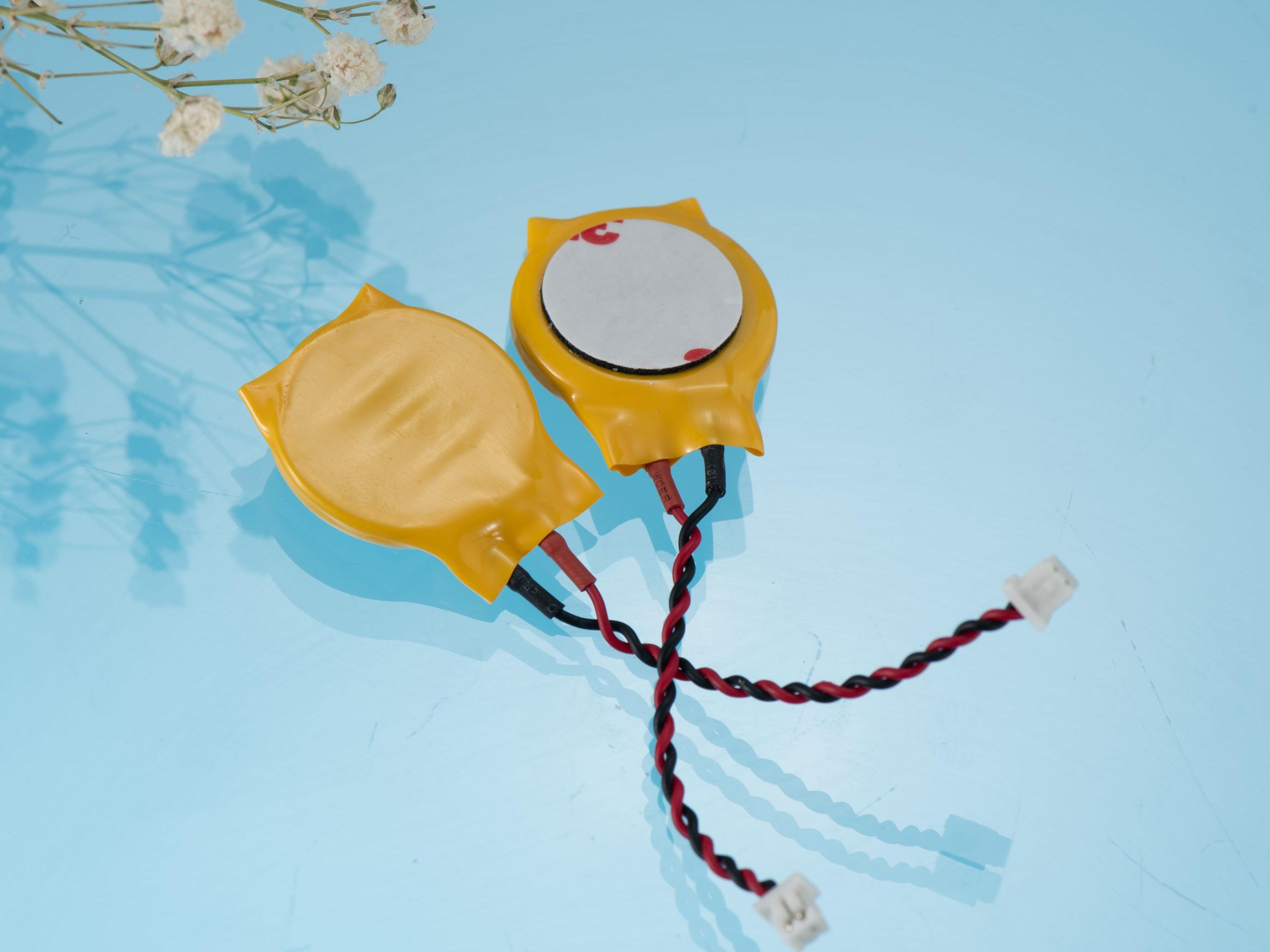 CR1632帶端子線(xiàn)貼膠